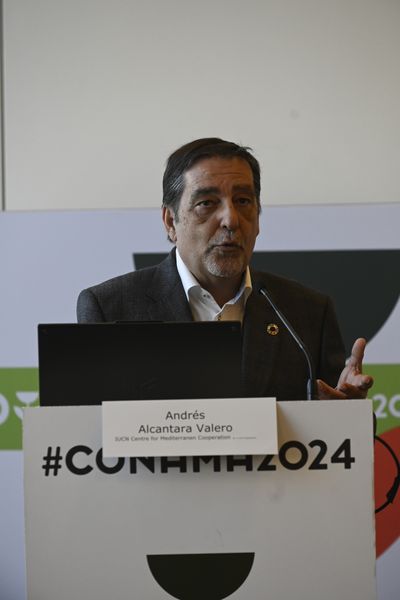 Andrés Alcantara Valero
